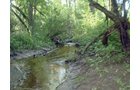 Property photo 3 - 20 Acres Offered in 3 Tracts - Hunting, Wildlife, & Recreation!
